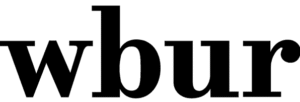 Home logo3